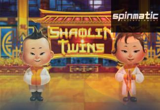Shaolin Twins